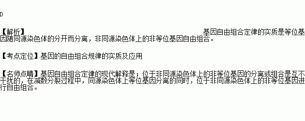 有絲分裂過程中相同基因隨姐妹染色單體分開而分離b.