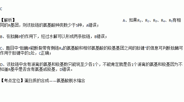 至於哪一肽鍵被斷裂則決定於肽酶的類型.