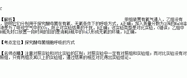 消什么未形成语_色斑形成的原因是什么(3)