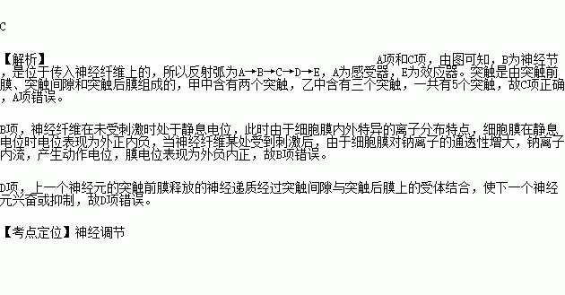 缩手反射弧图片