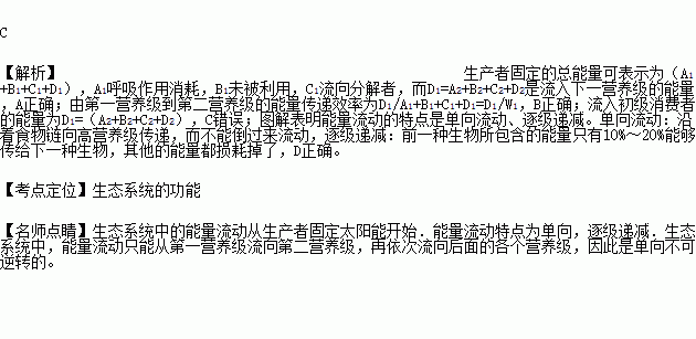 某同学绘制了如图所示的能量流动图解(其中w1为生产者固定的太阳能).