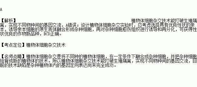 植物体细胞杂交的育种原理是什么_植物体细胞杂交