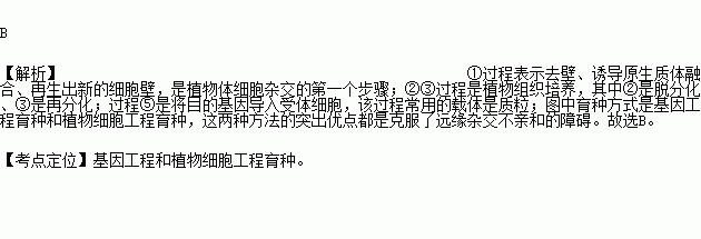 如下圖所示為農作物新品種的育種方式相關敘述錯誤的是