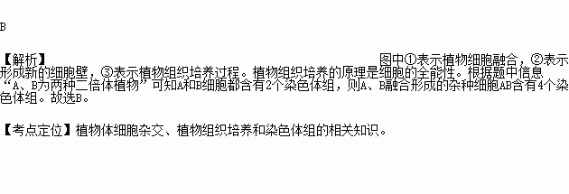 如右圖中的ab為兩種二倍體植物通過植物體細胞雜交技術形成c植株③