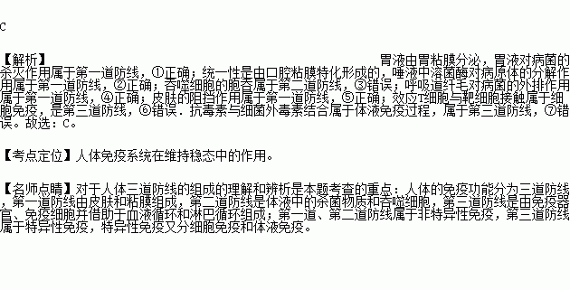 吞噬简谱_吞噬星空张杰简谱(2)