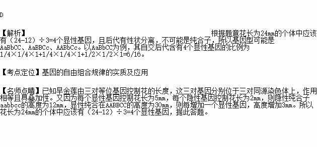 妹妹的山丹花儿曲谱_花儿头像(2)