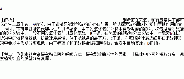 呼吸决定fine简谱_呼吸决定简谱(3)