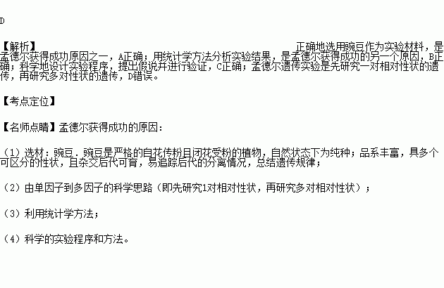 孟德尔应用什么原理_孟德尔遗传定律