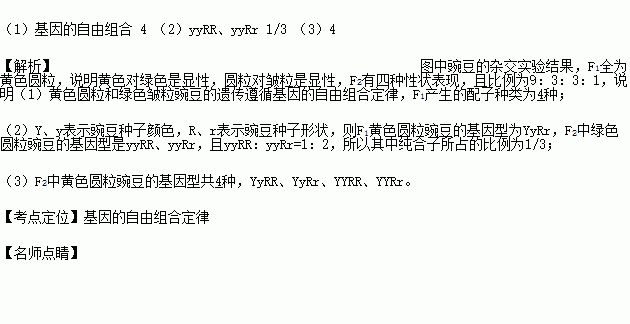 下圖為豌豆的兩對相對性狀的雜交實驗結果.(y.y表示豌豆種子顏色,r.