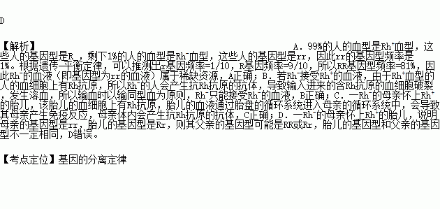 人口rh是_rh钢筋是什么样子的