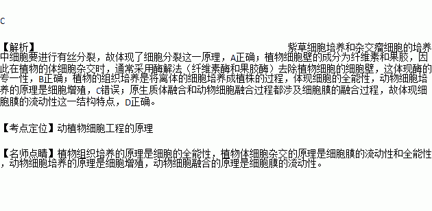 植物體細胞雜交與動物細胞工程中所用技術與原理不相符的是