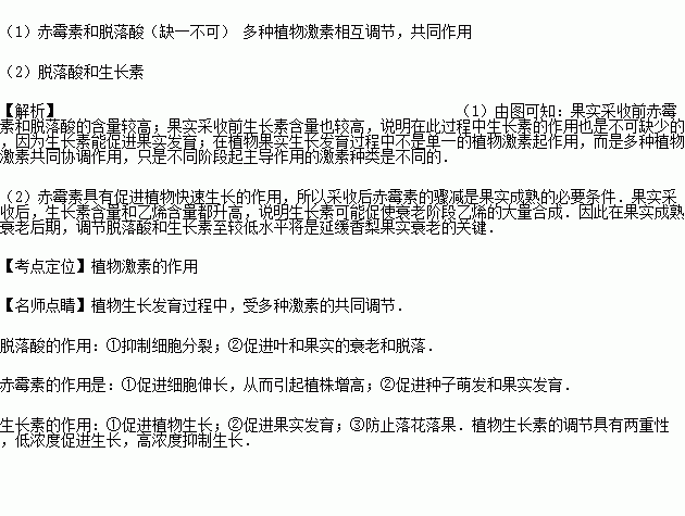 初熟果简谱_一回生二回熟简谱(3)