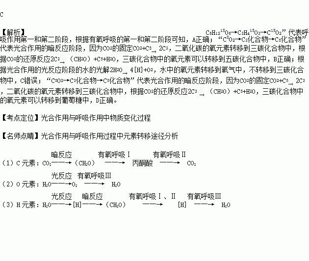 呼吸作用反應機理的研究.在利用18o標記法研究相關機理的過程中.