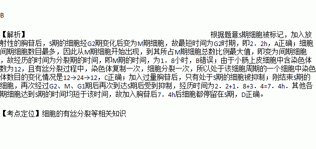 放射简谱_放射构成