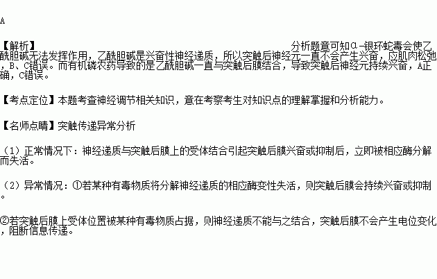 α銀環蛇每能與突觸後膜上的乙酰膽鹼受體牢固結合有機磷農藥能抑制