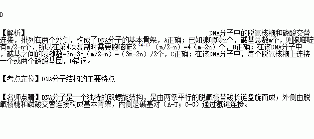 在該dna分子中,鹼基之間的氫鍵數為(3m-2n)/2b.