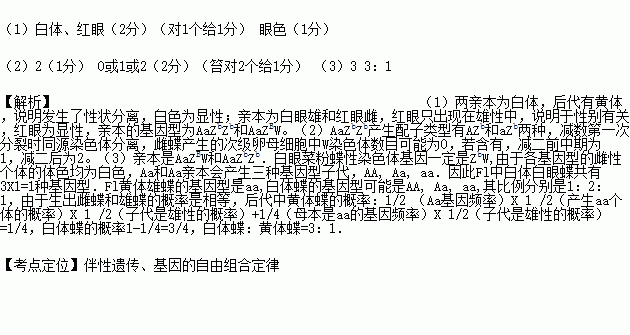 眼色简谱_林宥嘉眼色简谱(2)