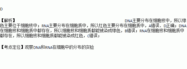 甲基绿使dna呈现绿色吡罗红使rna呈现红色利用含有这两种物质的混合