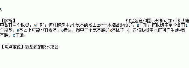 該肽鏈中的肽鍵數是2b. 該肽鏈是由3個氨