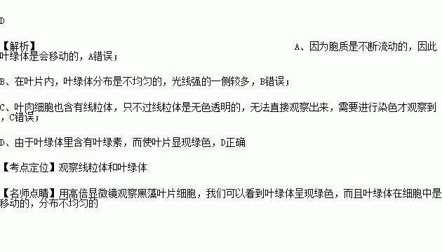 葉肉細胞內含有葉綠體.