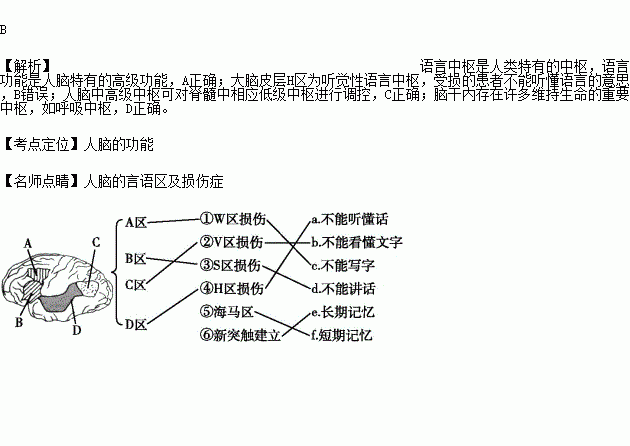 语言功能是人脑特有的高级功能b大脑皮层h区受损患者不能写字c