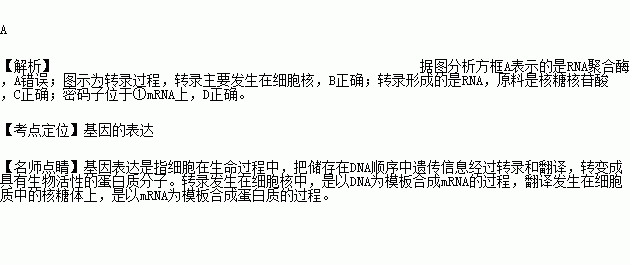 钱某为一有限责任公司的董事长(3)