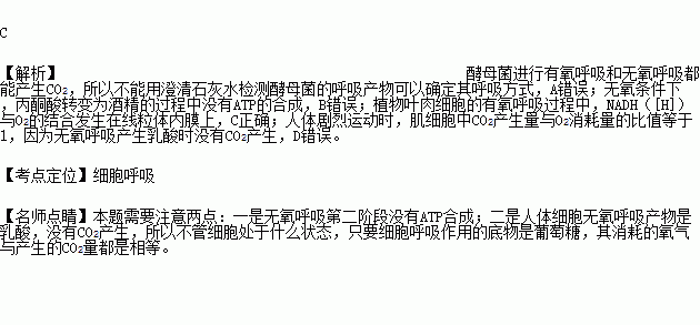 呼吸决定fine简谱_呼吸决定简谱(4)