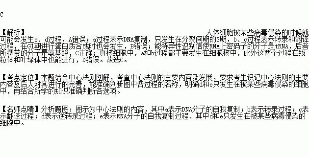 下圖所示的中心法則揭示了生物遺傳信息由dna向蛋白質傳遞與表達的