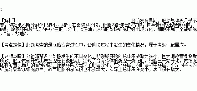 胚胎髮育早期隨細胞不斷分裂體積增大b.在桑椹胚階段.