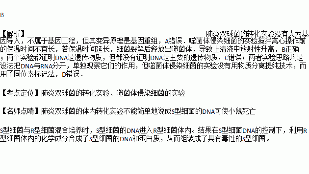 肺炎双球菌转化实验的实验原理是什么(2)