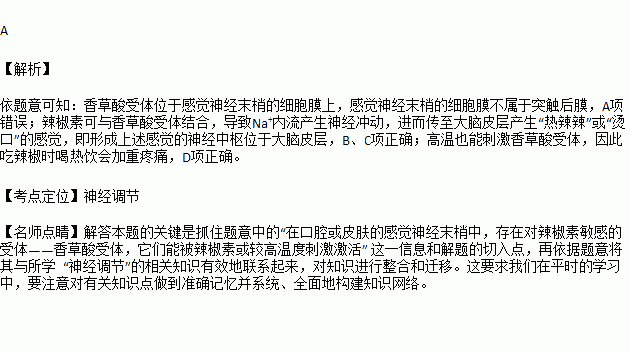 热辣辣简谱_热辣草原简谱图片格式