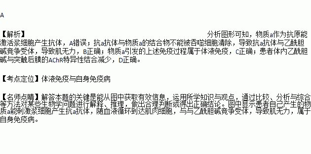 神經遞質乙酰膽鹼與突觸後膜的乙酰膽鹼受體achr結合突觸後膜興奮引起