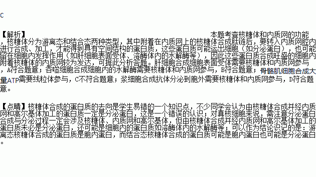 吞噬简谱_吞噬星空张杰简谱(3)