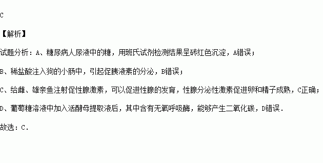 尿氏人口_人口普查