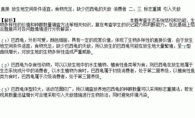 巴西龟简谱_巴西龟(2)