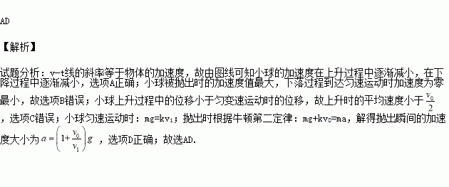 从地面上以大小为v0的初速度竖直上抛一质量为m的小球若运动过程中