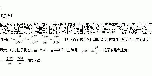 qp简谱_儿歌简谱