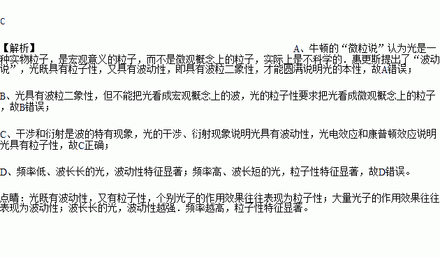 下列關於光的本性的說法中正確的是