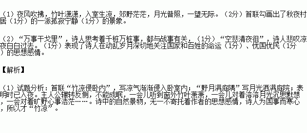 成语宿鸟什么_苜宿草长什么样子图片(3)