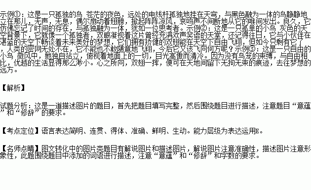 下面是一幅摄影图片,请根据你对图片意蕴的解读,发挥想象,写一段文字.