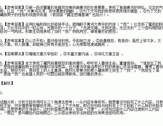 放生简谱_放生简谱范逸臣(5)