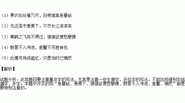 成语善发什么_成语故事简笔画(3)