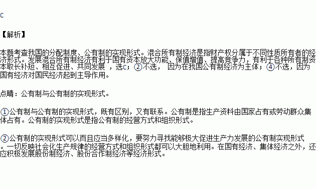 经济总量公有资产_资产负债表(2)