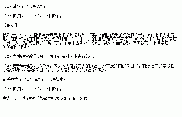 人口上表皮是装片还是图片_洋葱表皮临时装片