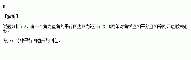 答案解析—