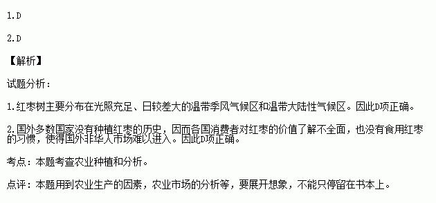 的枣树简谱_枣树简笔画