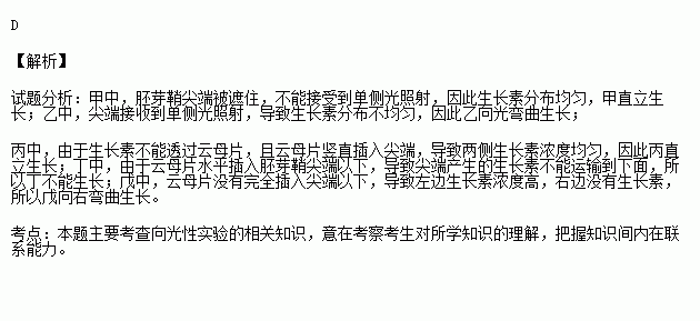 云母简谱_犬夜叉云母(3)