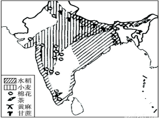 以下关于印度农作物分布的叙述.正确的是.a.水稻分布在东北部 c.