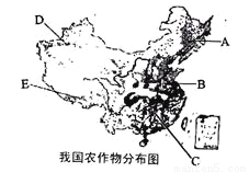 初中地理人口老龄化的原因_人口老龄化的原因