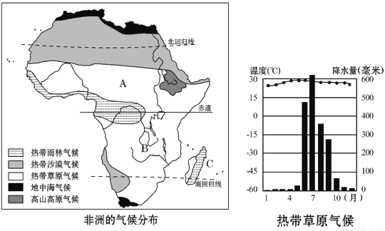 非洲动物大迁徙地图图片